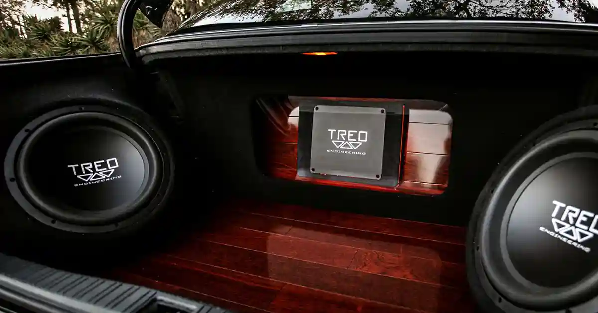 Subwoofers with new cones sitting in back of car trunk