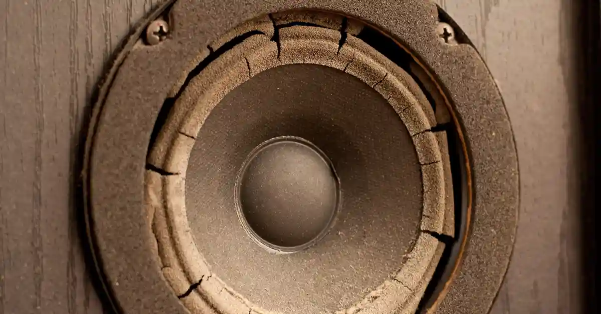 Old, blown and broken speaker