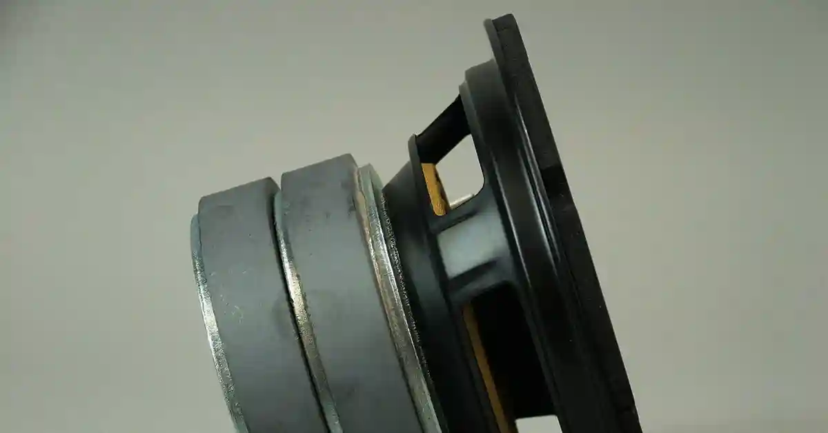Profile of speaker magnets on large speaker